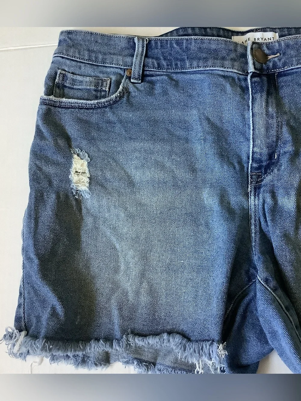 Lane Bryant add classic